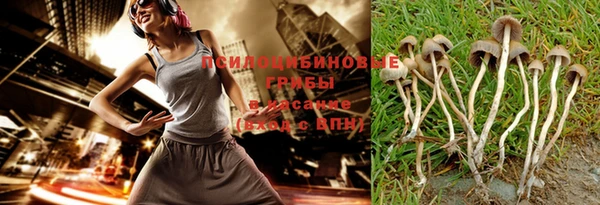 PSILOCYBIN Алексин