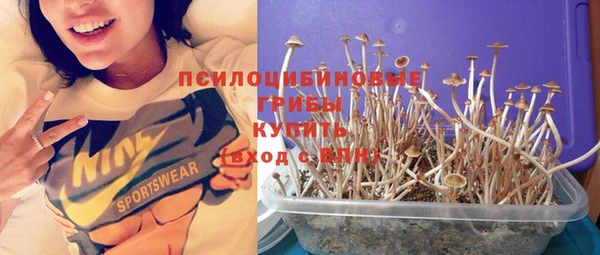 прущая мука Беслан